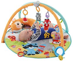 Fisher-Price Moonlight Meadow Deluxe Play Gym