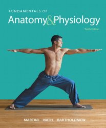 Fundamentals of Anatomy & Physiology 10th Edition