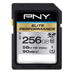PNY  Elite Performance 256GB High Speed SDXC Class 10 UHS-I, U1 Up to 90MB/sec Flash Card – P-SDX256U1H-GE