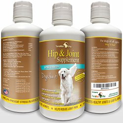 Liquid Glucosamine for Dogs with Chondroitin MSM & Hyaluronic Acid