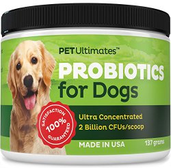 Probiotics for Dogs – Has the 13 Best Pet Digestive Remedies