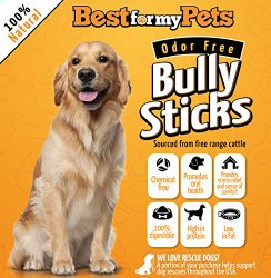 Best Natural Bully Sticks, Odor Free, Hand-Inspected & USDA/FDA-Approved Bully Sticks