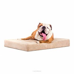 Brindle 4 Inch Solid Memory Foam Orthopedic Dog Bed with Removable Waterproof Velour Cover – Medium 34 Inch x 22 Inch