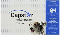 Capstar Flea Tablets for Cats & Dogs 2-25 lbs, 6 Tablets, Single box