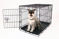 Carlson Secure and Compact Single Door Metal Dog Crate, Medium