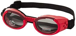 Doggles ILS Small Shiny Red Frame and Smoke Lens