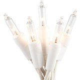 Everglow 2980-22 100 Clear White Wire Light Set