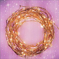 Fairy Star Lights Extra Long 39ft Warm White LED Copper Wire Indoor Outdoor