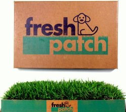 Fresh Patch Disposable Dog Potty with REAL Grass – As Seen on SHARK TANK