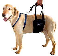 GingerLead Dog Support & Rehabilitation Harness – Medium / Large Male Sling