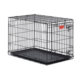 Midwest Life Stages Double-Door Folding Metal Dog Crate, 24 Inches by 18 Inches by 21 Inches