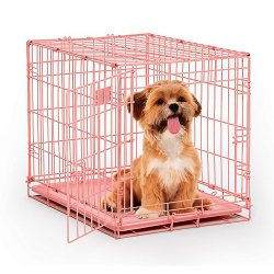 MidWest Single Door Dog iCrate, 24-Inch, Pink