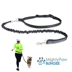 Mighty Paw Hands Free Dog Leash, Premium Running Dog Leash, Lightweight Reflective Bungee Dog Leash