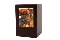Near & Dear Pet Memorials MDF Pet Photo Cremation Urn, 200 Cubic Inch, Cherry Finish