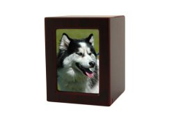 Near & Dear Pet Memorials MDF Pet Photo Cremation Urn, 85 Cubic Inch, Cherry Finish