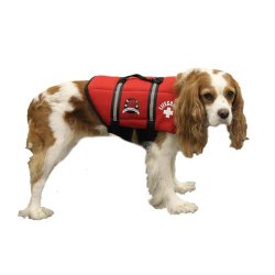 Paws Aboard Medium Neoprene Designer Doggy Life Jacket, Red Lifeguard