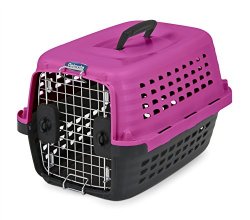 Petmate 41037 Compass Fashion Pets Kennel with Chrome Door, Hot Pink/Black
