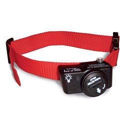 PetSafe Extra Collar for Wireless Containment