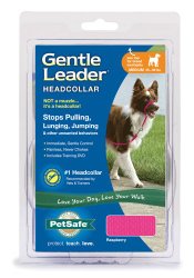PetSafe Gentle Leader Headcollar, Medium, Raspberry