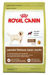 Royal Canin Labrador Retriever Dry Dog Food, 30-Pound Bag