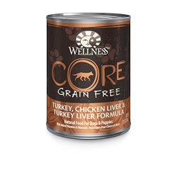 Wellness CORE Natural Grain Free Wet Canned Dog Food, Turkey, Chicken (Pack of 12)