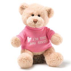 Gund I’m The Big Sister Message 12″ Bear Plush
