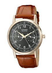 Citizen Men’s AO9003-08E Stainless Steel Eco-Drive Watch with Leather Band