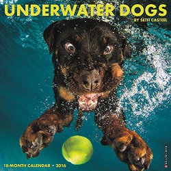 2016 Underwater Dogs Wall Calendar