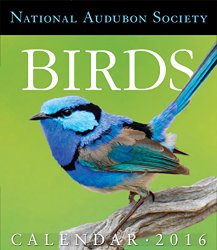 Audubon Birds Page-A-Day Gallery Calendar 2016