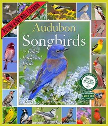 Audubon Songbirds & Other Backyard Birds Picture-A-Day Wall Calendar 2016