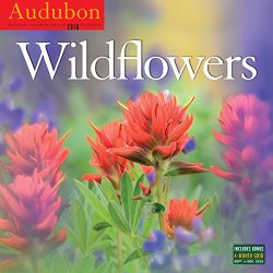 Audubon Wildflowers Wall Calendar 2016