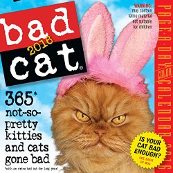 Bad Cat Color Page-A-Day Calendar 2016