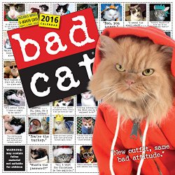 Bad Cat Wall Calendar 2016