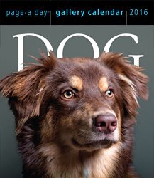 Dog Page-A-Day Gallery Calendar 2016