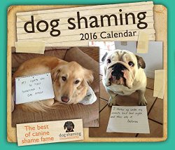 Dog Shaming 2016 Day-to-Day Calendar