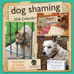 Dog Shaming 2016 Wall Calendar