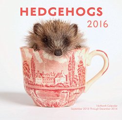 Hedgehogs 2016 Mini: 16-Month Calendar September 2015 through December 2016
