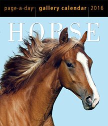 Horse Page-A-Day Gallery Calendar 2016