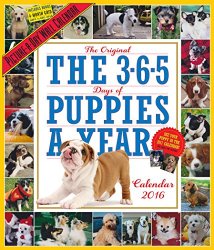 The 365 Puppies-A-Year Picture-A-Day Wall Calendar 2016