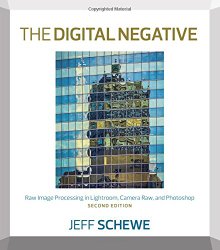 The Digital Negative: Raw Image Processing in Lightroom, Camera Raw, and Photoshop (2nd Edition)