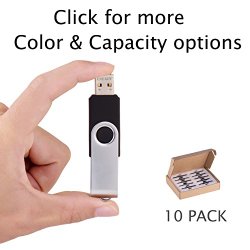 Enfain 8GB (10 Pack) USB 2.0 Flash Drive Jump Drive Pen Drive Memory Stick, Black
