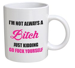 Funny I’m Not Always A Bitch 11OZ Coffee Mug Novelty, Office, Job