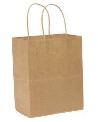 Duro Tempo Small Shopping Bag, Kraft Paper, 4-1/2″x8″x10-1/4″ 250 ct, Legislative Approved, ID# 84597