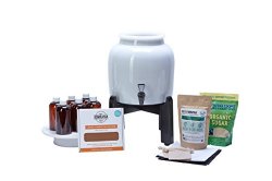 BASIC Kombucha Continuous Brew Kit System – Drink Kombucha Tea On Tap (Making A Lifetime Of Home Brewed Kombucha Tea Easy For You) GetKombucha®