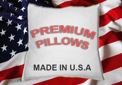 18 x 18 Premium Hypoallergenic Stuffer Pillow Insert Sham Square Form Polyester, Standard / White