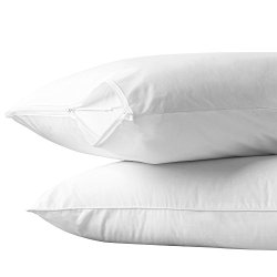 AllerEase Cotton Allergy Protection Pillow Protector, Set of 2