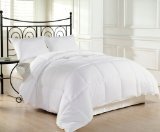 Chezmoi Collection Heavyweight Filled Goose Down Alternative Comforter, Queen/Full, White