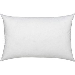 DownTown Company Pillow insert 12×16