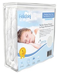 Felicibini Quilted Mattress Protector