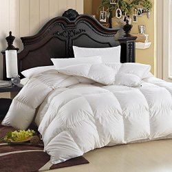 LUXURIOUS Queen Size Siberian GOOSE DOWN Comforter, 600 Thread Count 100% Egyptian Cotton Cover, 750 Fill Power, 60 Oz Fill Weight